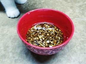 调料混合在碗里将糖搅拌均匀，静止5分钟