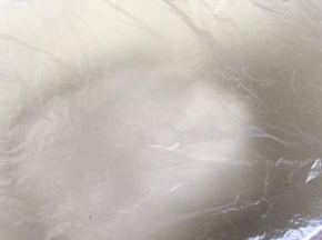 密封醒发半小时以上