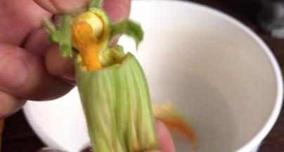 南瓜花掐去花蕊和花蒂