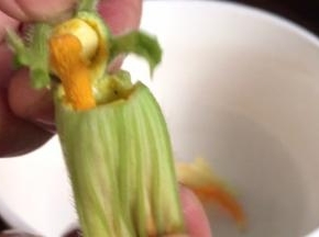 南瓜花掐去花蕊和花蒂