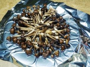 将软化好的黄油抹在锡纸低，洒上蒜盐，码上鸡枞菌