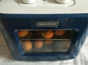 放入干果机中