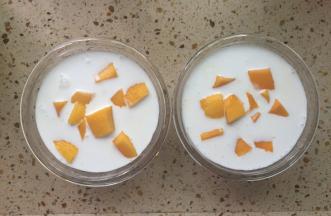 拿两个小碗，把芒果西米平均倒入碗中，然后在上面倒上一层椰汁牛奶，把芒果丁放在上面。