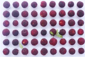 准备好所有食材。