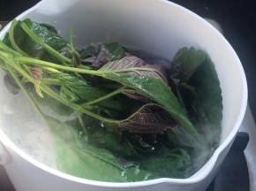 放入紫苏