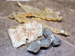 花胶二片、鳄鱼肉干一片、陈肾二个清洗干净备用