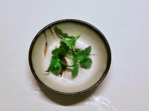 新摘薄荷叶子