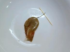 用牙签在虾的倒数第三节挑出虾线