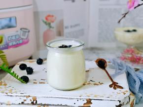 BB煲做酸奶特别简单呦～～