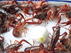 准备食材。