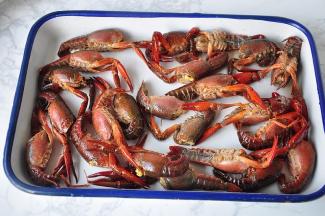 先将小龙虾买回后冲洗一下，然后放在盆，加入淡盐水，让它吐出脏物，中途记得换几次水。然后用牙刷仔细清洗小龙虾，再剪去头和沙包，从尾部拉掉筋，再次洗净备用。