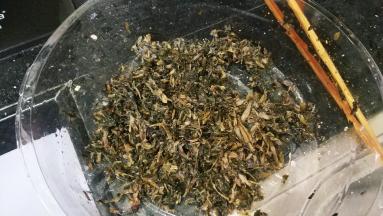 拧干水分