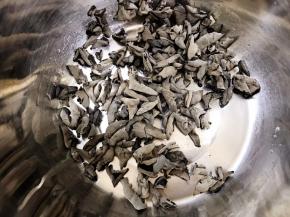 用的小鼠耳肉质很厚实