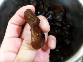 等完全泡发后再去蒂