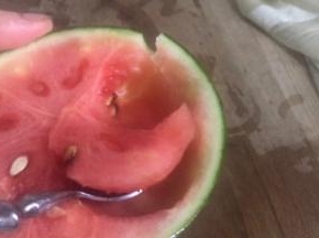 西瓜洗净后切开，挖出果肉