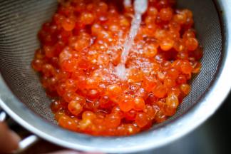 将鱼籽清洗干净