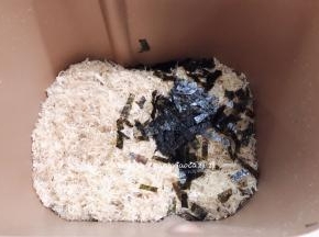 最后剩下3分钟的时候加入煎碎的海苔，再次搅拌到结束即可