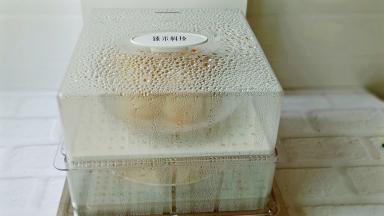 十秒钟快速出蒸汽，营养不流失。