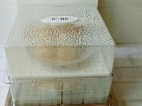 十秒钟快速出蒸汽，营养不流失。