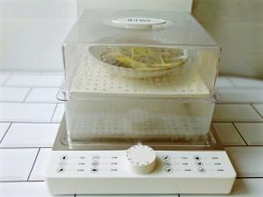 臻米折叠蒸汽锅加上纯净水，把鱼放蒸格，开关时间选择10分钟即可。