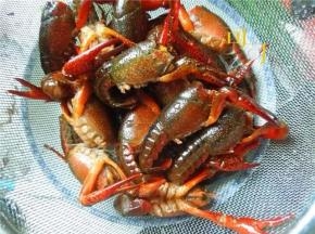 剪去虾尖嘴和头上的鳍，抽取内脏和虾肠