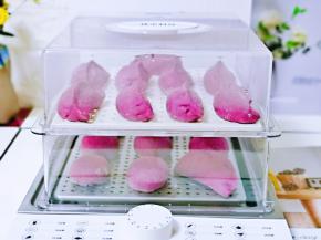 盖上蒸锅的盖子。