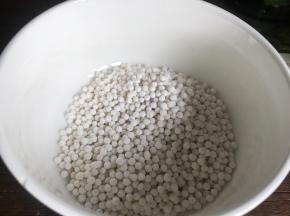 西米装入容器中