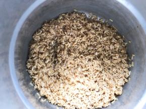 高压锅中倒入米饭（可以用电饭煲）