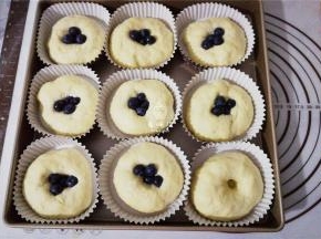 把每个面团揉成小团放入学厨的烤盘上，再用擀面杖戳出一个坑，填入蓝莓（如图所示）。