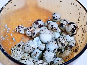 轻轻一拉就下来啦！