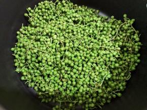 青花椒不要洗，用干净的布轻轻的擦一下表面水份和灰尘即可