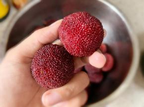 新鲜杨梅买回来之后要先用淡盐水浸泡半个小时左右