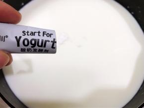 加入酸奶菌粉搅拌均匀