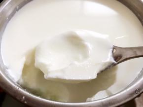 冷藏后的酸奶更为浓稠