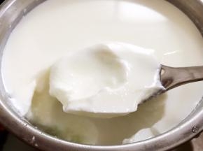 冷藏后的酸奶更为浓稠