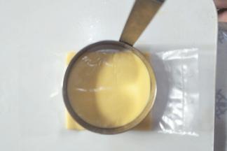 芝士片用模具压出形状