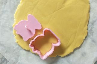 用模具压出形状