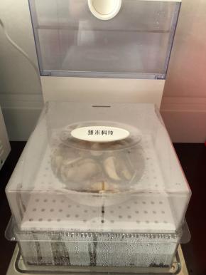 把盘子摆入蒸汽料理机里，选择时间25分钟就可以了。没有料理机的，放锅里也是一样的。