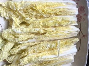 一棵娃娃菜洗净切小段后控干水分摆在盘子里。