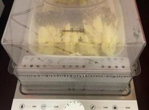 选择时间为15分钟即可。没有蒸汽料理机就用蒸锅也是一样的。