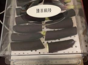 把泡好的茄子段摆在臻米网红蒸汽料理机里。选择时间20分钟。