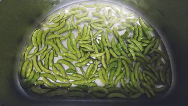 清洗干净外壳