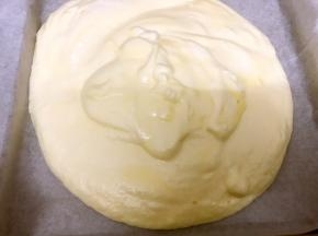 做好的蛋糕糊倒入烤盘里