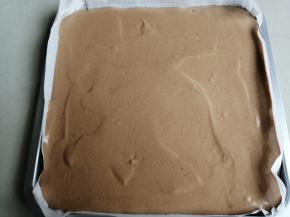 把拌好的蛋糕糊离烤盘20CM高处倒入铺了油纸的小烤盘上（烤箱自带的烤盘），用刮刀刮平表面，在桌面上震几下，震出大气泡