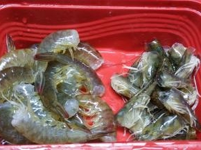 鲜虾去头去线