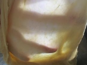 揉至有韧性的扩展阶段。