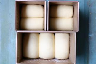 盖上保鲜膜常温下发酵，（也可用一个450克吐司模具），