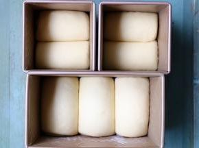 盖上保鲜膜常温下发酵，（也可用一个450克吐司模具），