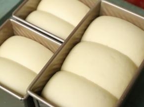 发酵至八分满，盖上吐司盖。