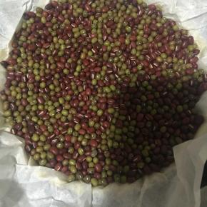 把油纸热在模具内，铺满红（绿）豆。防止底部凸起。